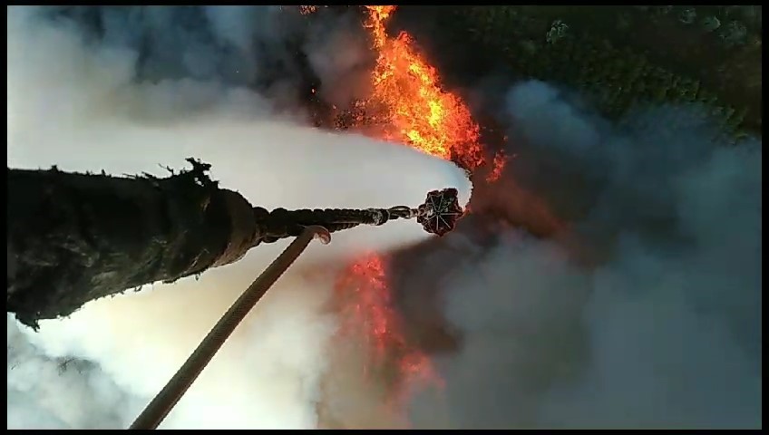 Bursa’daki orman yangınına havadan böyle müdahale edildi