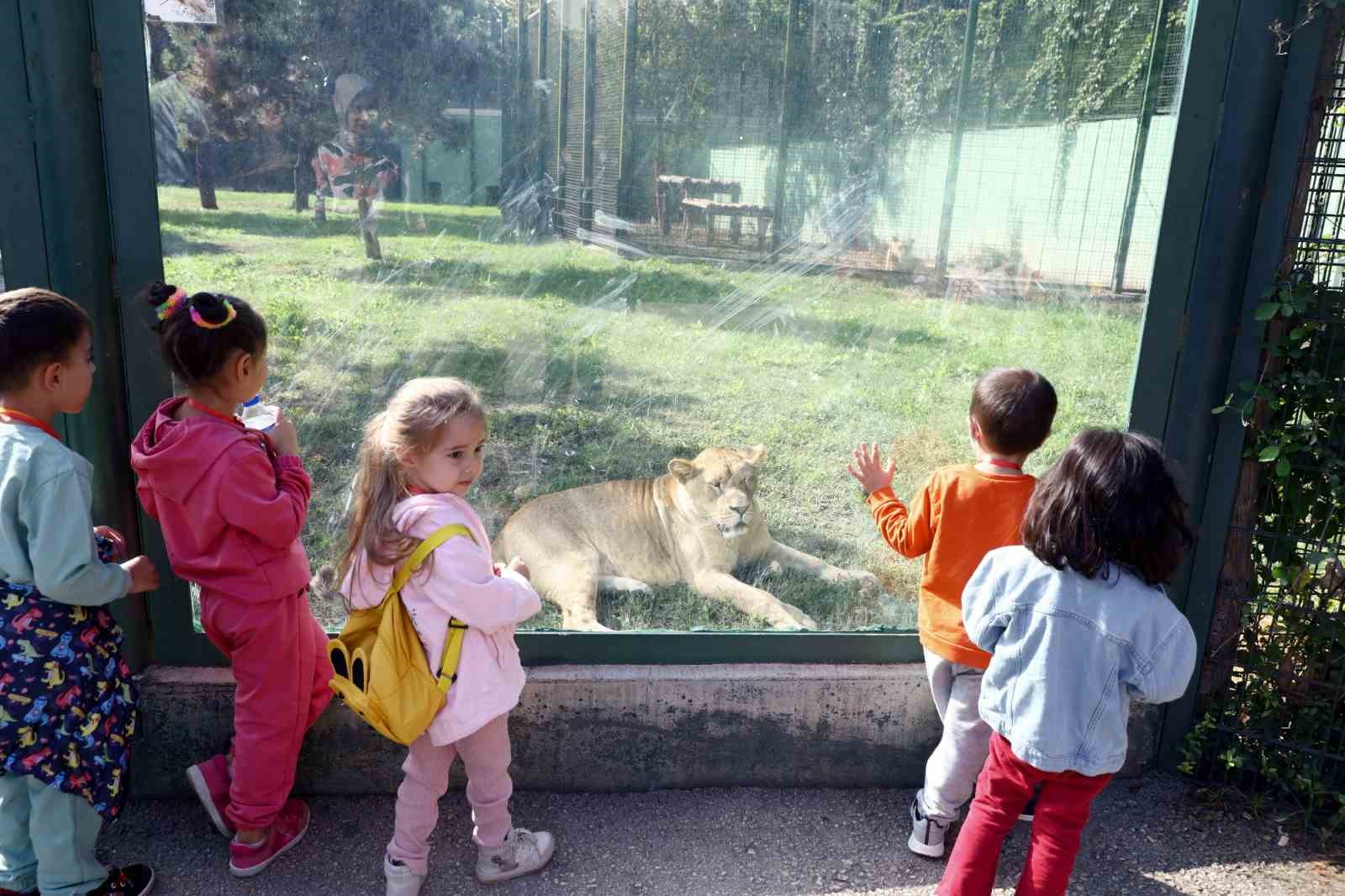 Çocuklara hayvan sevgisi aşılandı