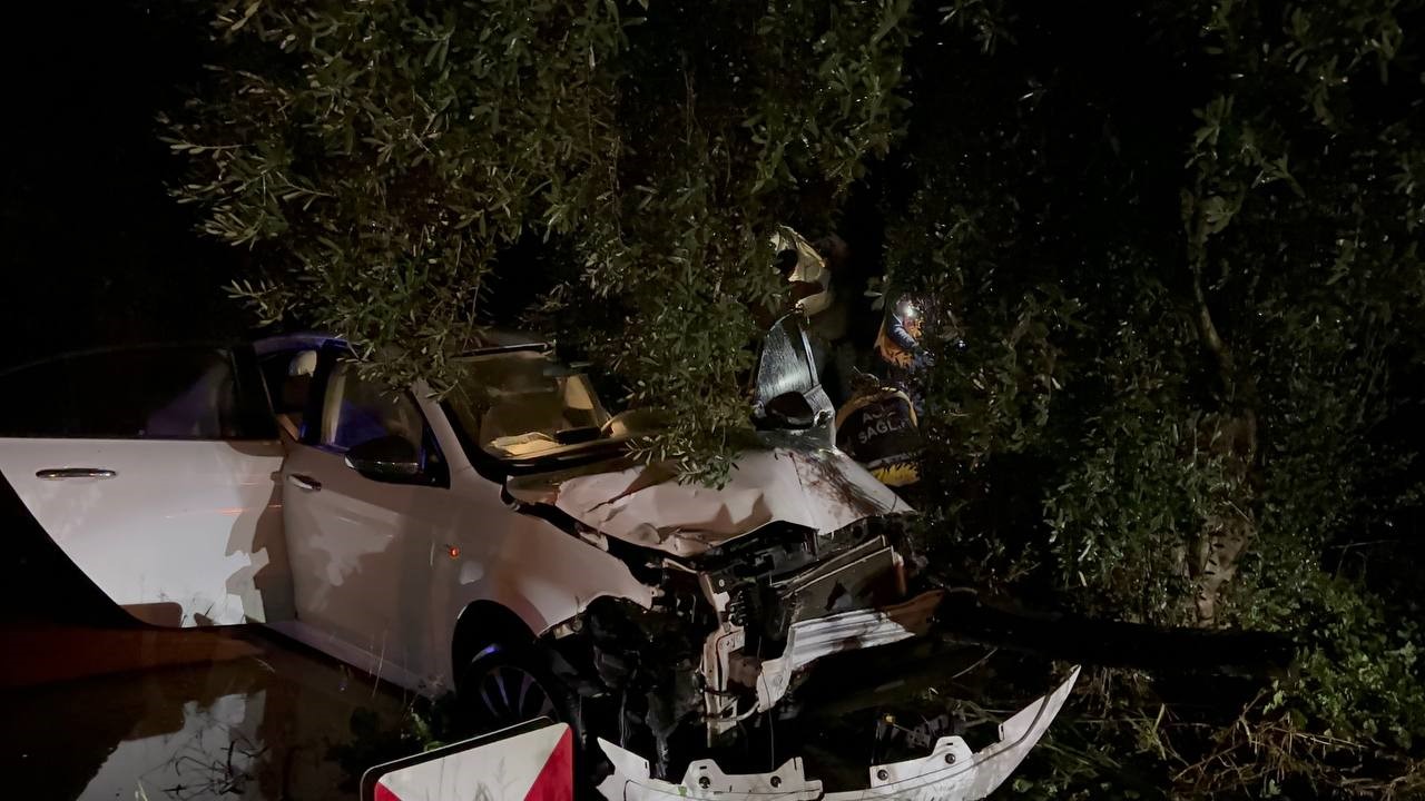 Zeytin ağacına çarpan aracın sürücüsü kazadan hafif yaralı kurtuldu
