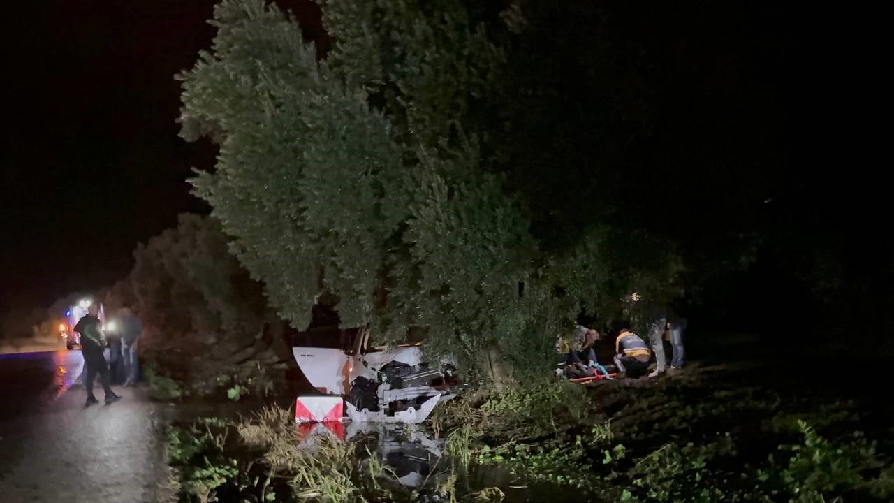 Zeytin ağacına çarpan aracın sürücüsü kazadan hafif yaralı kurtuldu