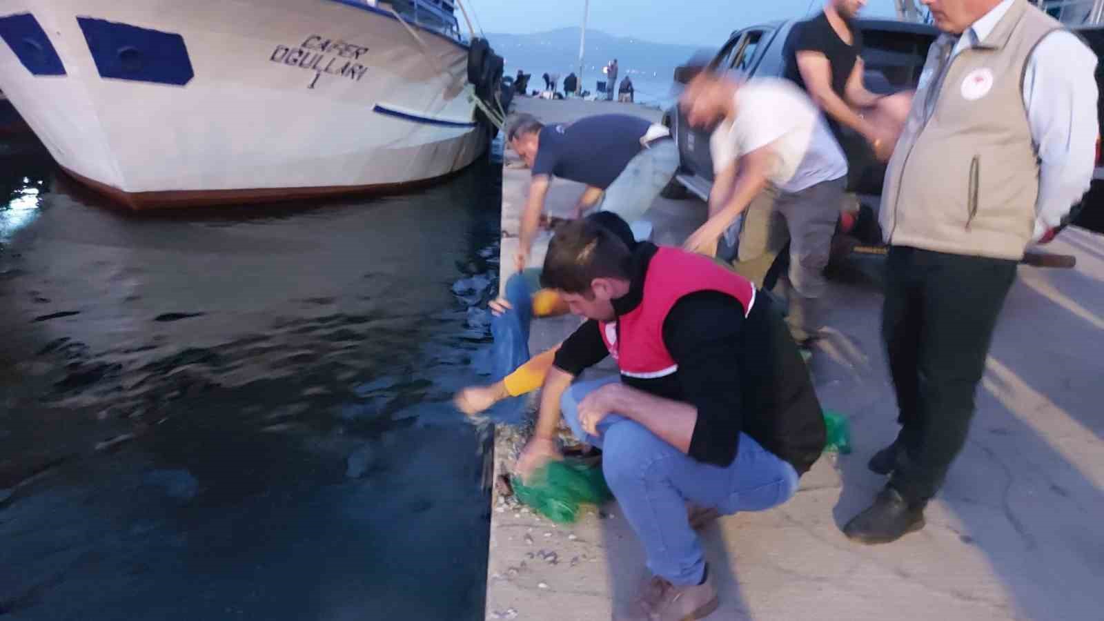 Kaçak avlanan bin kilo kum şırlanı denize bırakıldı