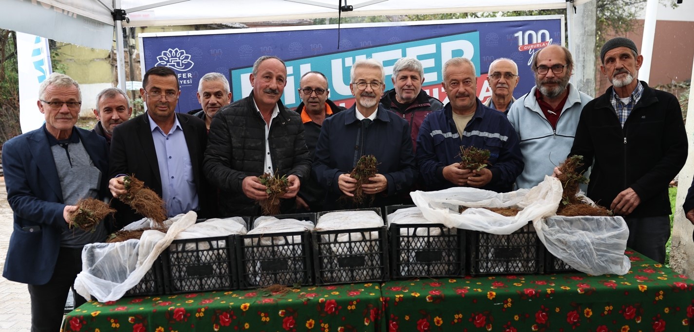 Nilüfer Belediyesi’nin desteğiyle çilek üretimi artıyor