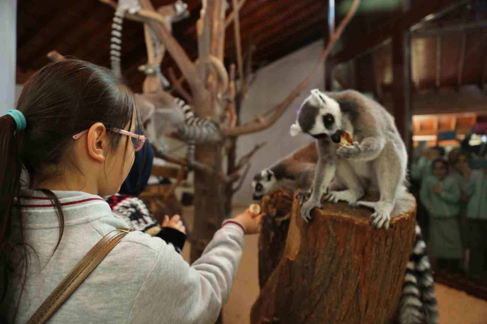 Bursa Hayvanat Bahçesi giriş ücretleri zamlanıyor