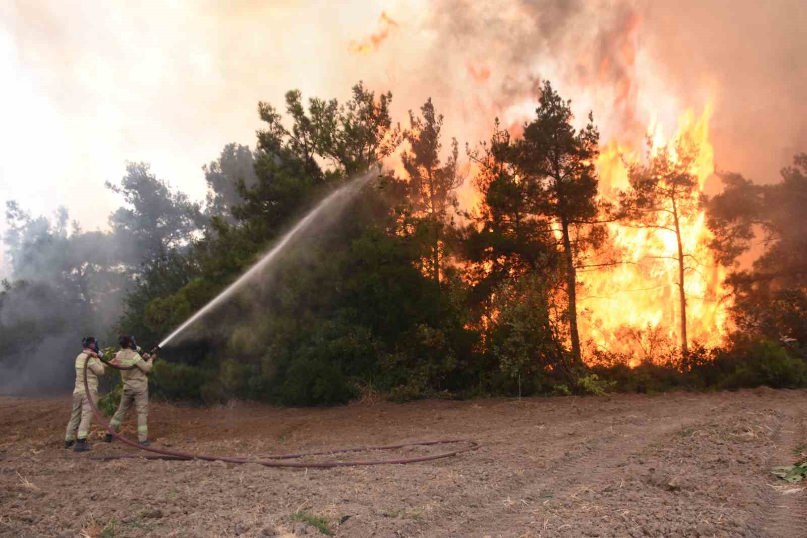 Bursa’da yanan ormanların yerine 48 bin fidan dikildi