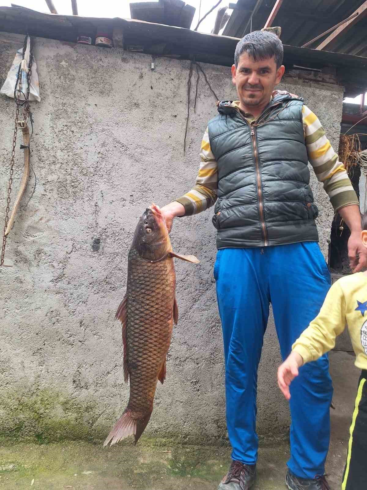 İznik Gölü’nde 25 kiloluk sarı balık yakalandı