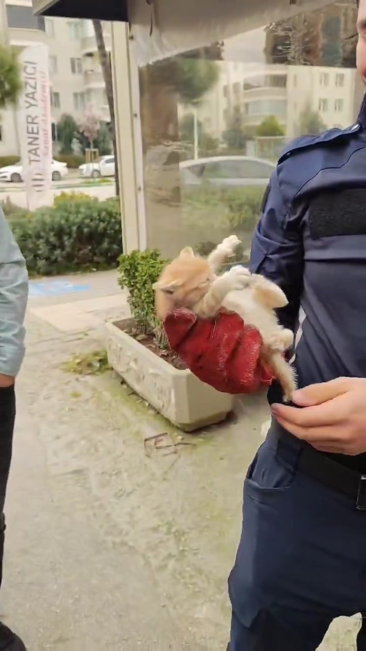 İtfaiye ekipleri sıkışan yavru kediyi böyle kurtardı